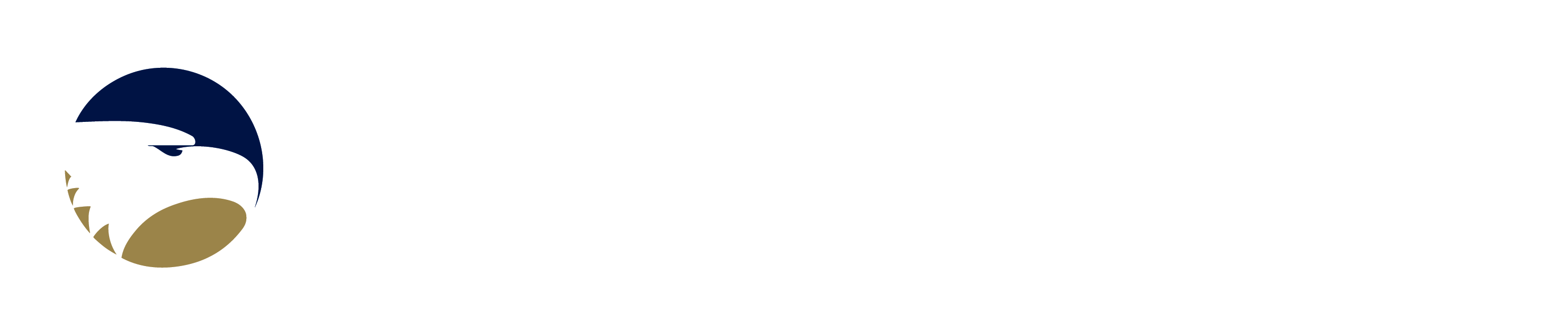 Georgia Southern University